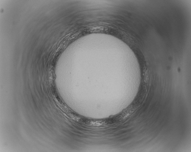 X0000051240753200507152123