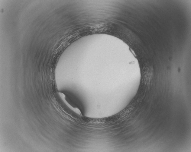 X0000051240756200507152123