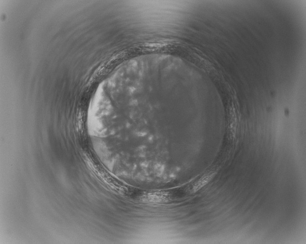 X0000051240758200507152123