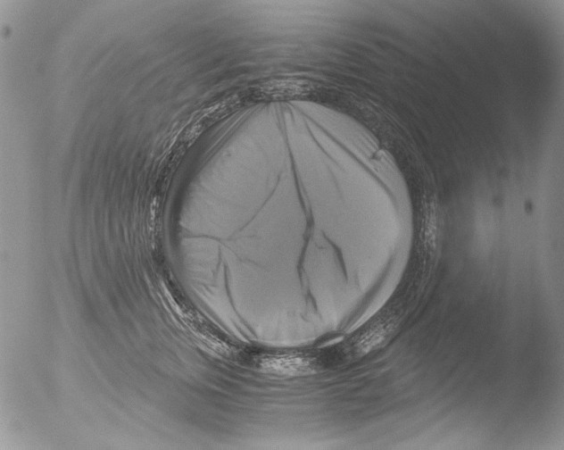 X0000051240759200507152123