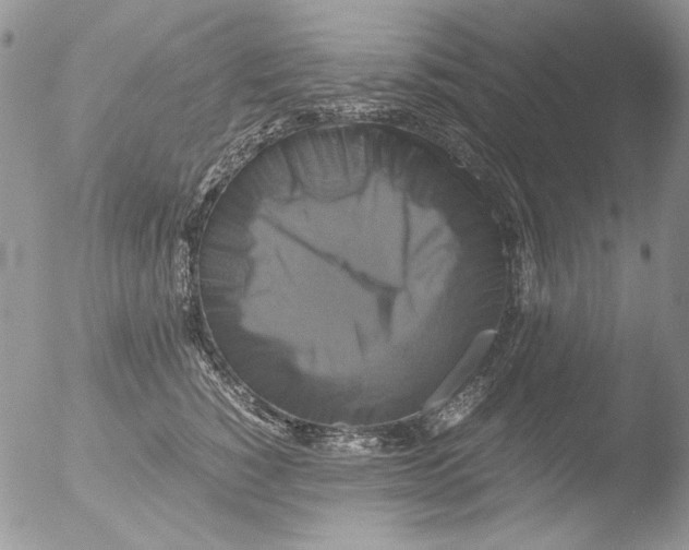 X0000051240760200507152123