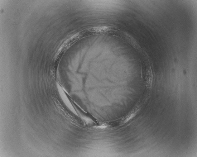 X0000051240762200507152123