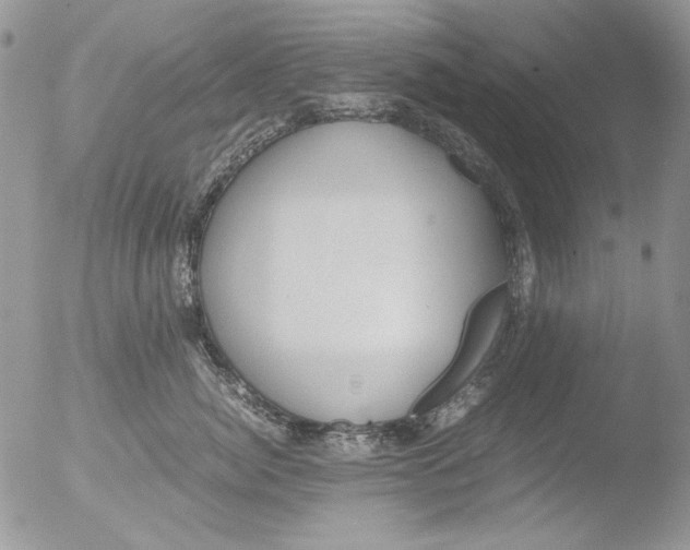 X0000051240764200507152123