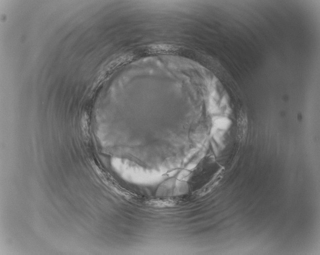 X0000051240765200507152123