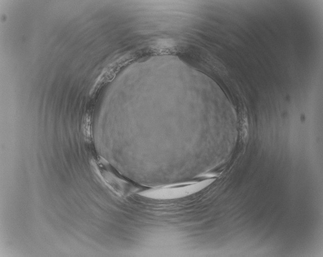 X0000051240766200507152123