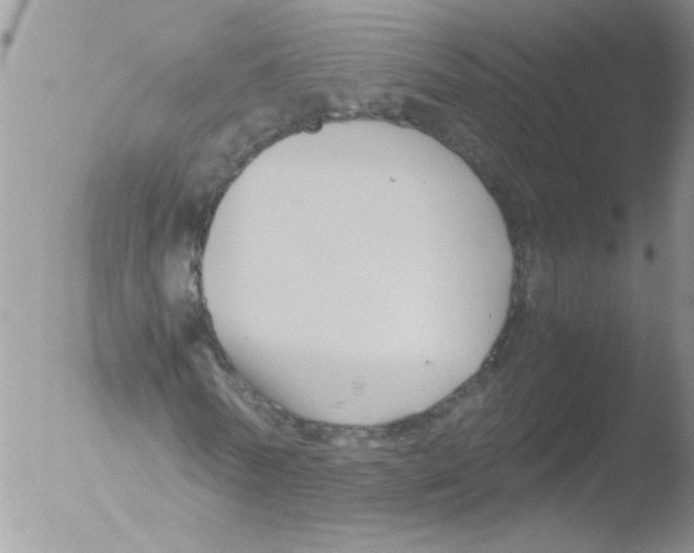 X0000051240770200507152122