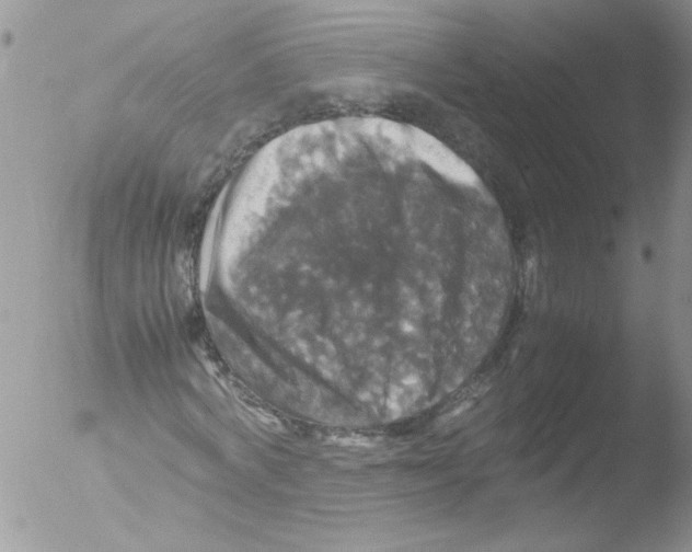 X0000051240772200507152122