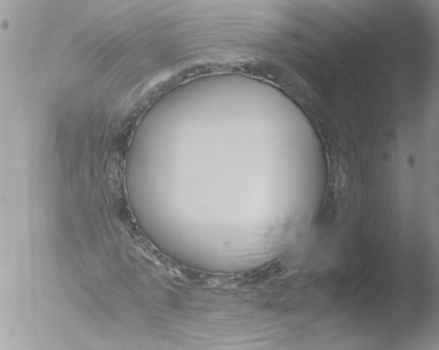 X0000051240773200507152122