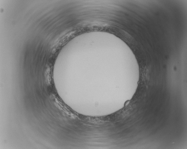 X0000051240774200507152122