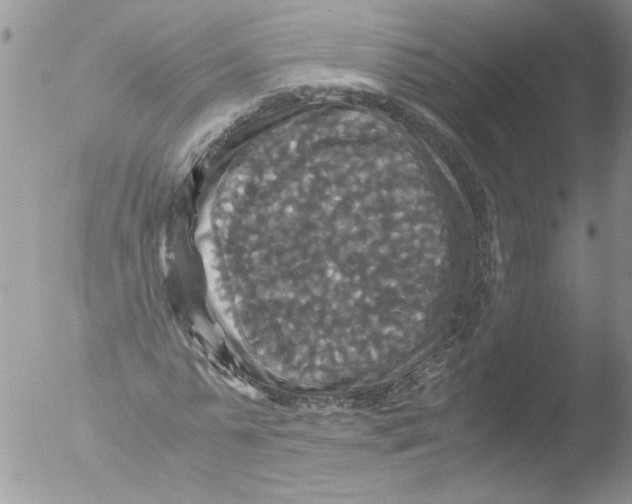 X0000051240775200507152122