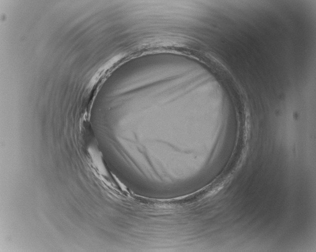 X0000051240777200507152122