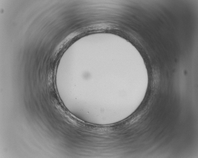 X0000051240778200507152122