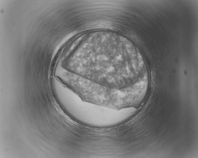 X0000051240780200507152122