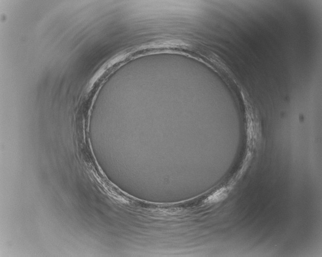 X0000051240781200507152122