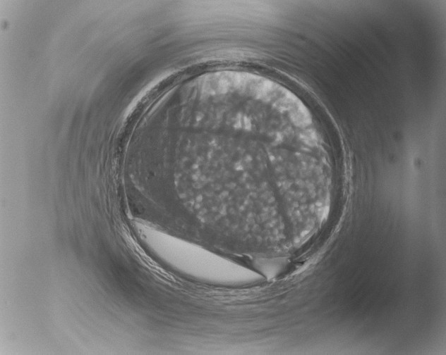 X0000051240783200507152122