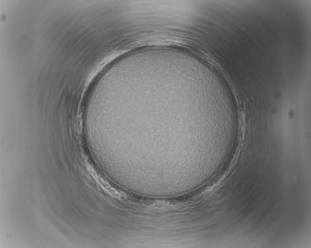 X0000051240787200507152122