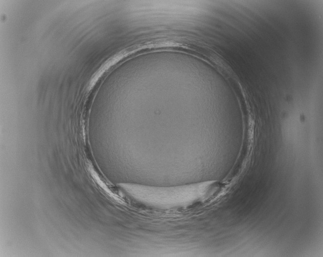 X0000051240789200507152122