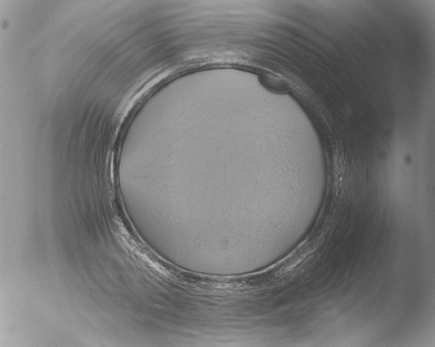 X0000051240790200507152122