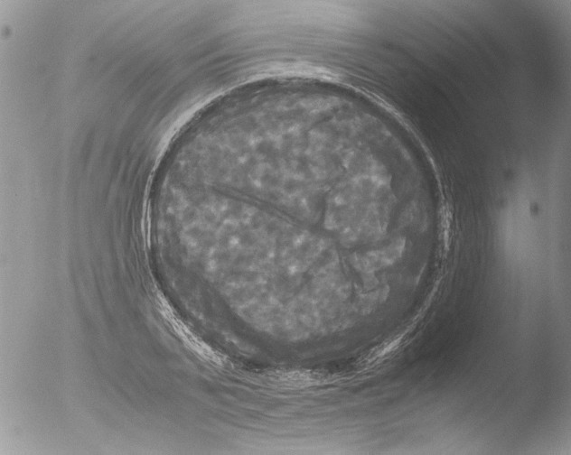 X0000051240791200507152122