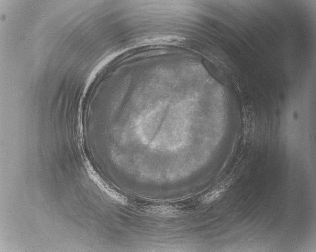 X0000051240792200507152122