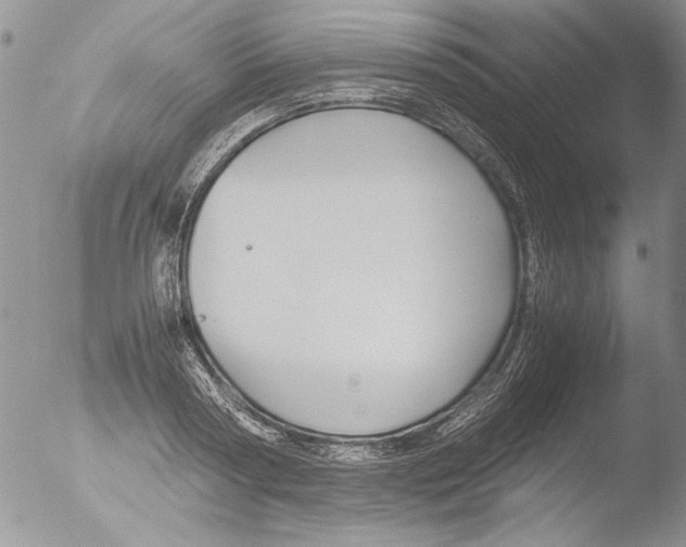 X0000051240794200507152122