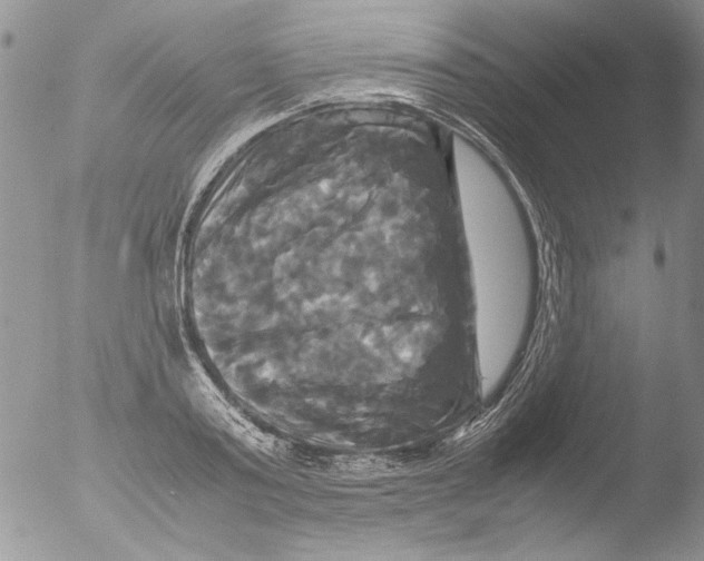 X0000051240795200507152122