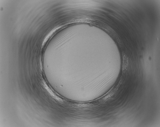 X0000051240796200507152122