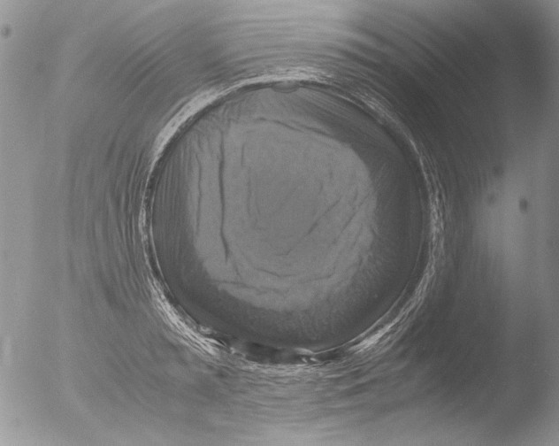 X0000051240797200507152122