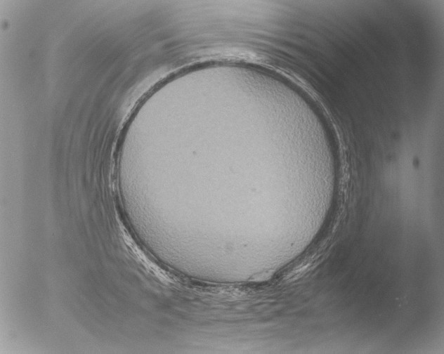 X0000051240799200507152122