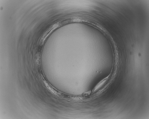 X0000051240801200507152122