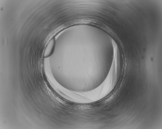 X0000051240802200507152122