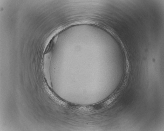 X0000051240805200507152122