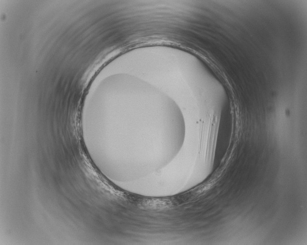 X0000051240806200507152122