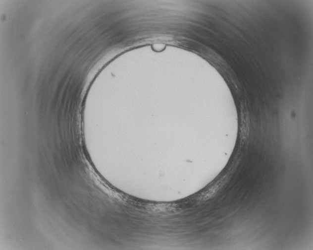 X0000051240808200507152122