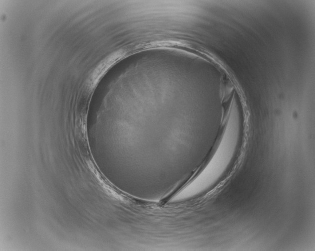 X0000051240809200507152122