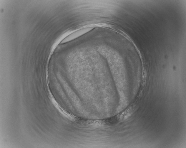 X0000051240811200507152122