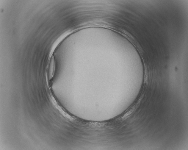 X0000051240812200507152122