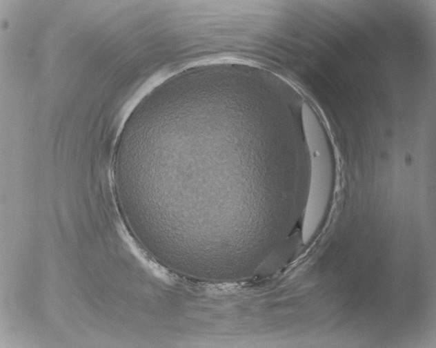 X0000051240813200507152122