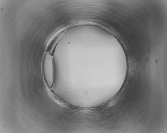 X0000051240814200507152122