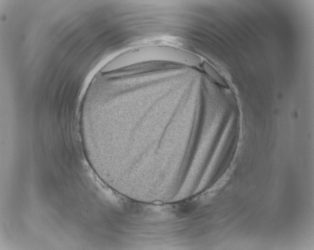 X0000051240816200507152122