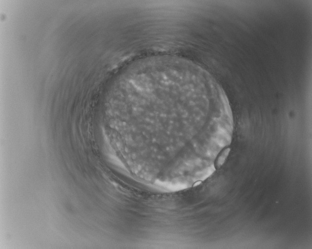 X0000051240817200507152121