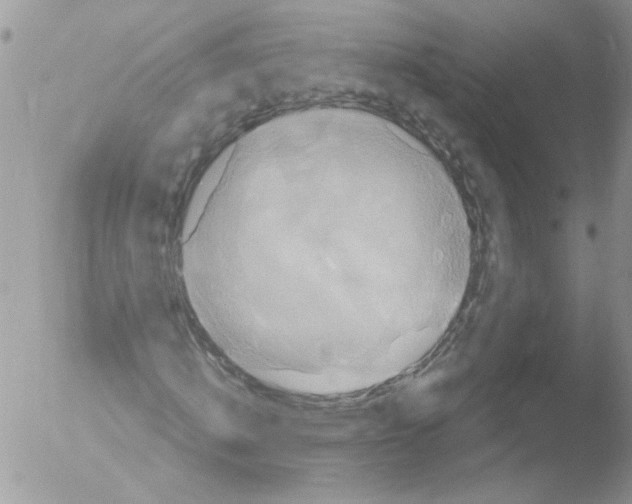 X0000051240820200507152121