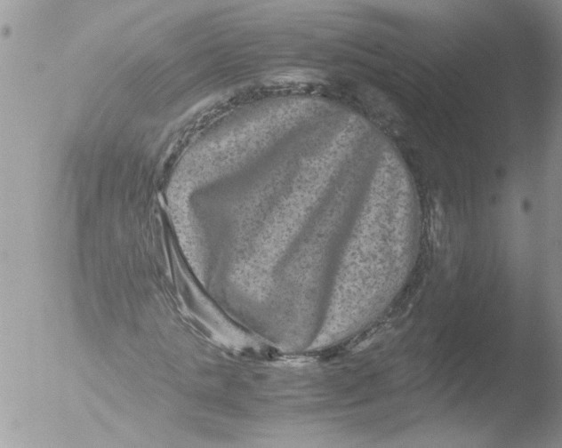 X0000051240821200507152121