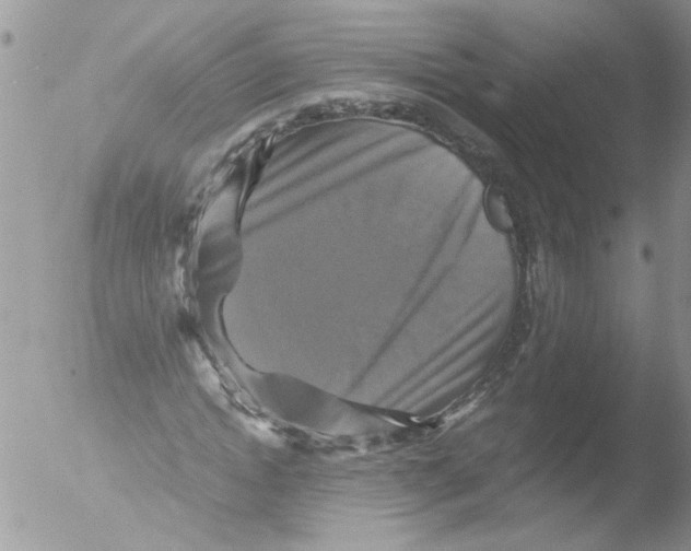 X0000051240822200507152121