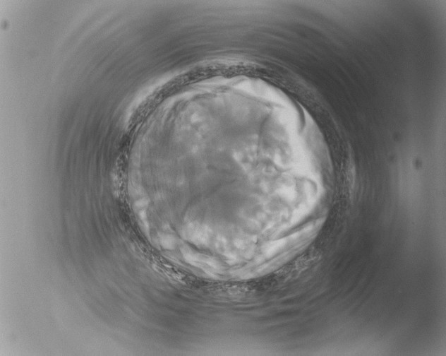 X0000051240823200507152121