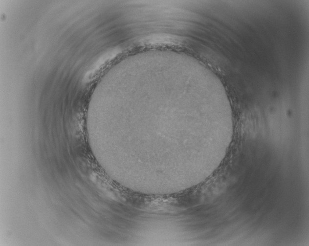 X0000051240824200507152121