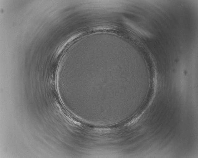 X0000051240825200507152121