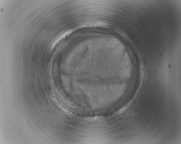 X0000051240826200507152121