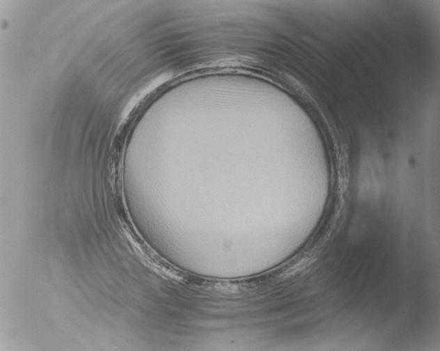 X0000051240827200507152121