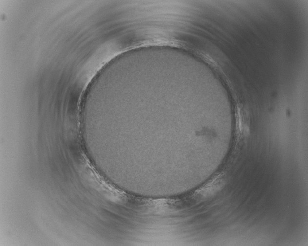 X0000051240828200507152121